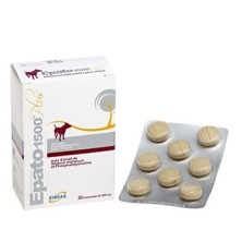 Epato 1500 Plus