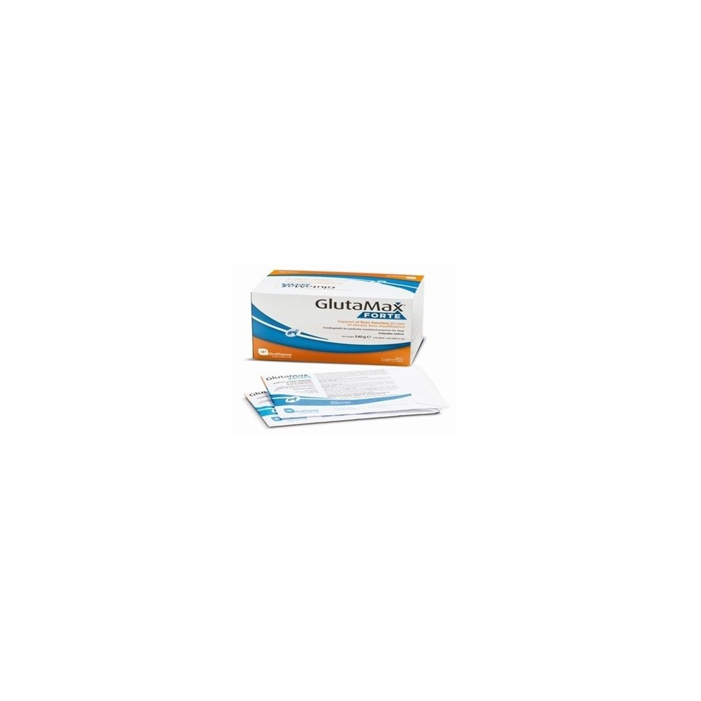 GLUTAMAX FORTE 120 COMP