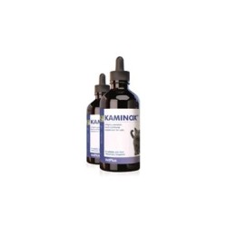 Kaminox