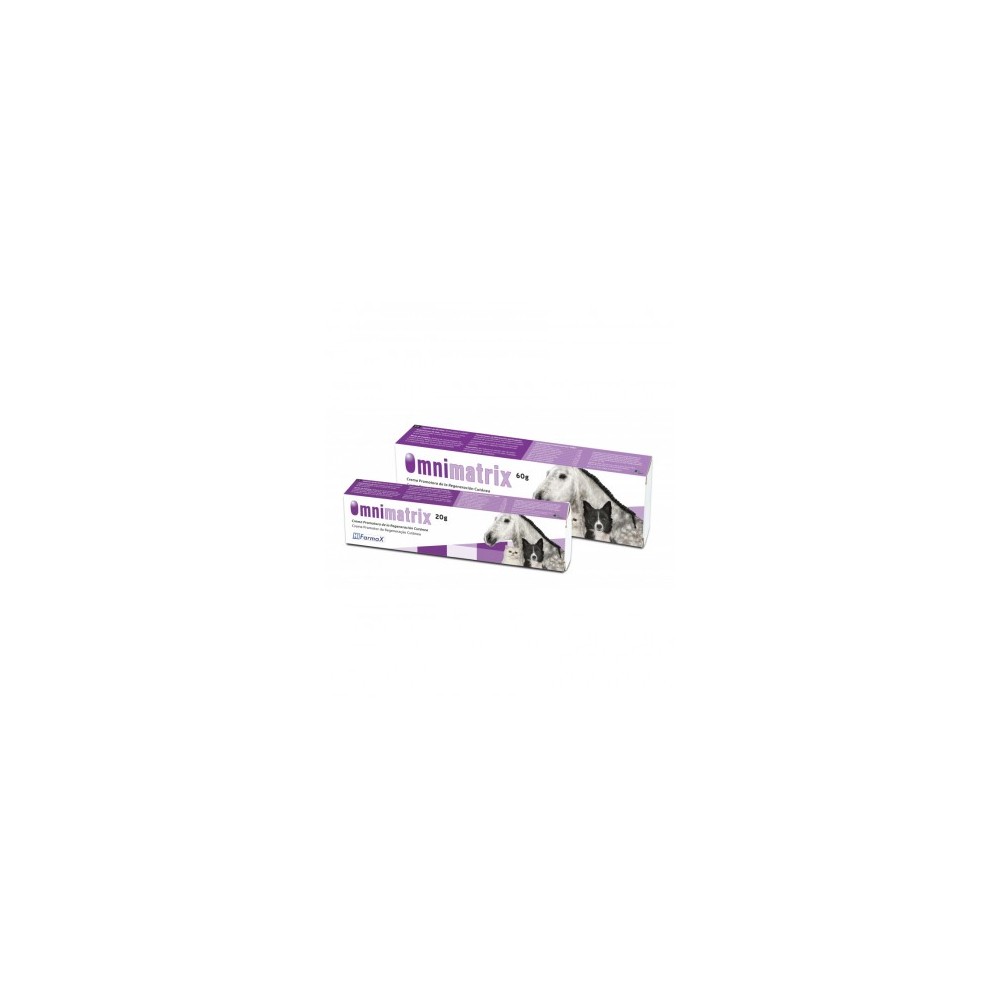 Omnimatrix 20 g