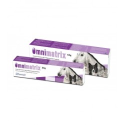 Omnimatrix 20 g