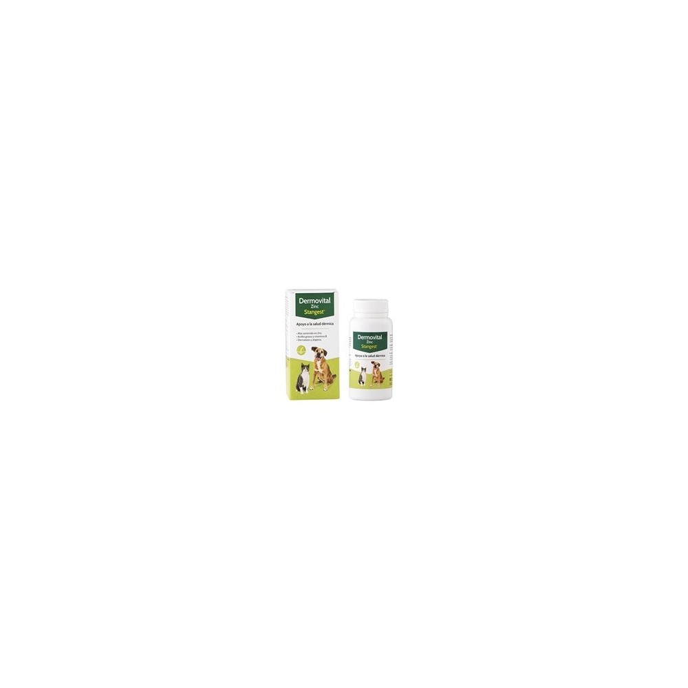 Dermovital Zinc 60 comprimidos