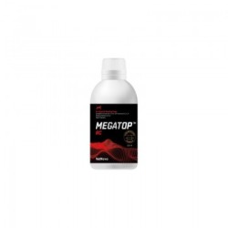 Megatop RC