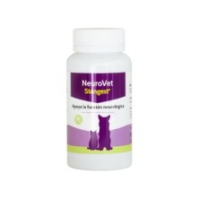 Stangest  Neurovet  Perros...