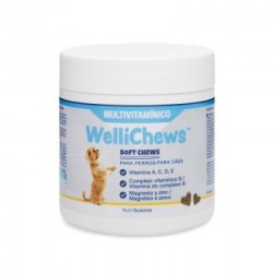 Wellichews Multivitaminico