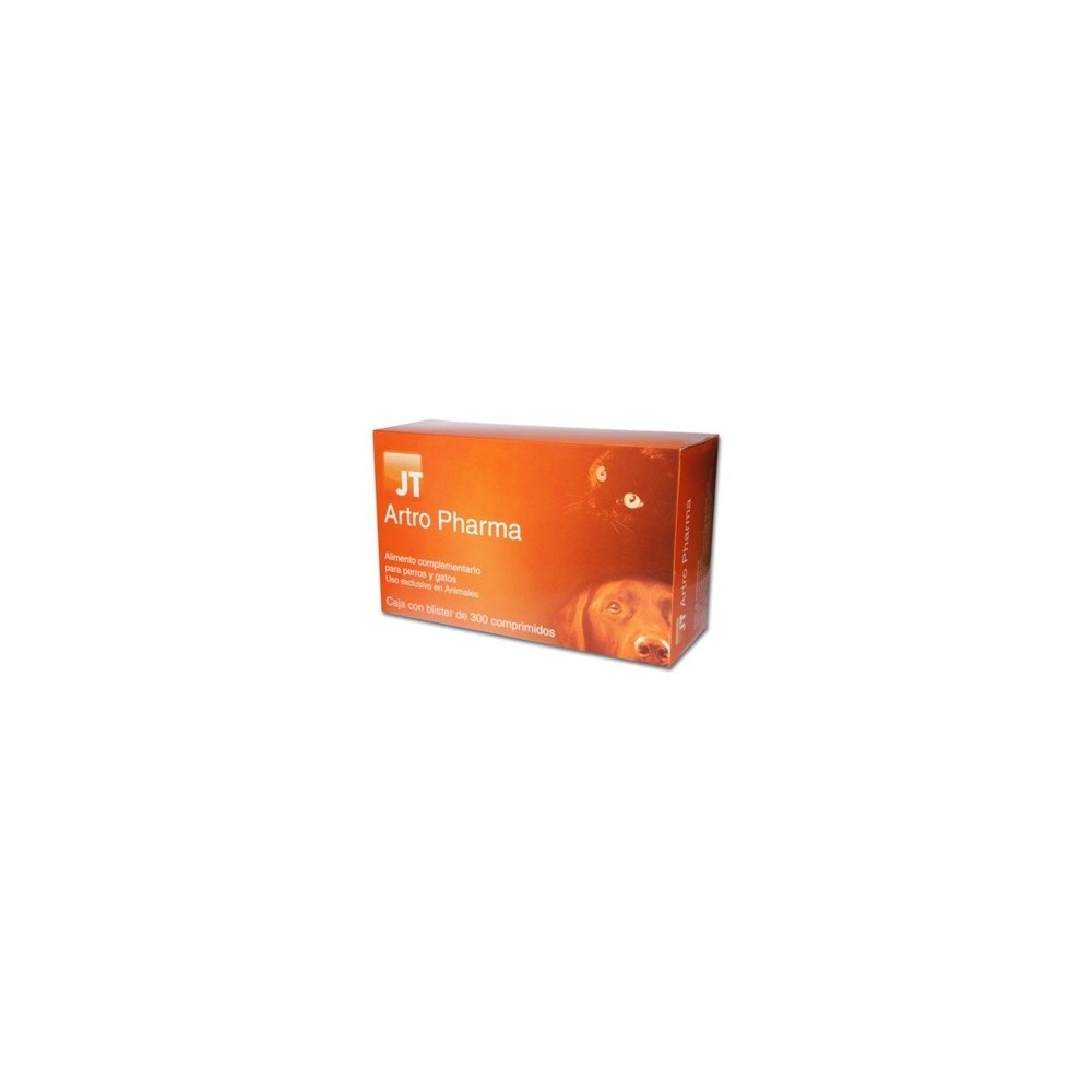 Artro Pharma 300 Comprimidos