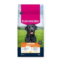 Eukanuba Junior Razas...