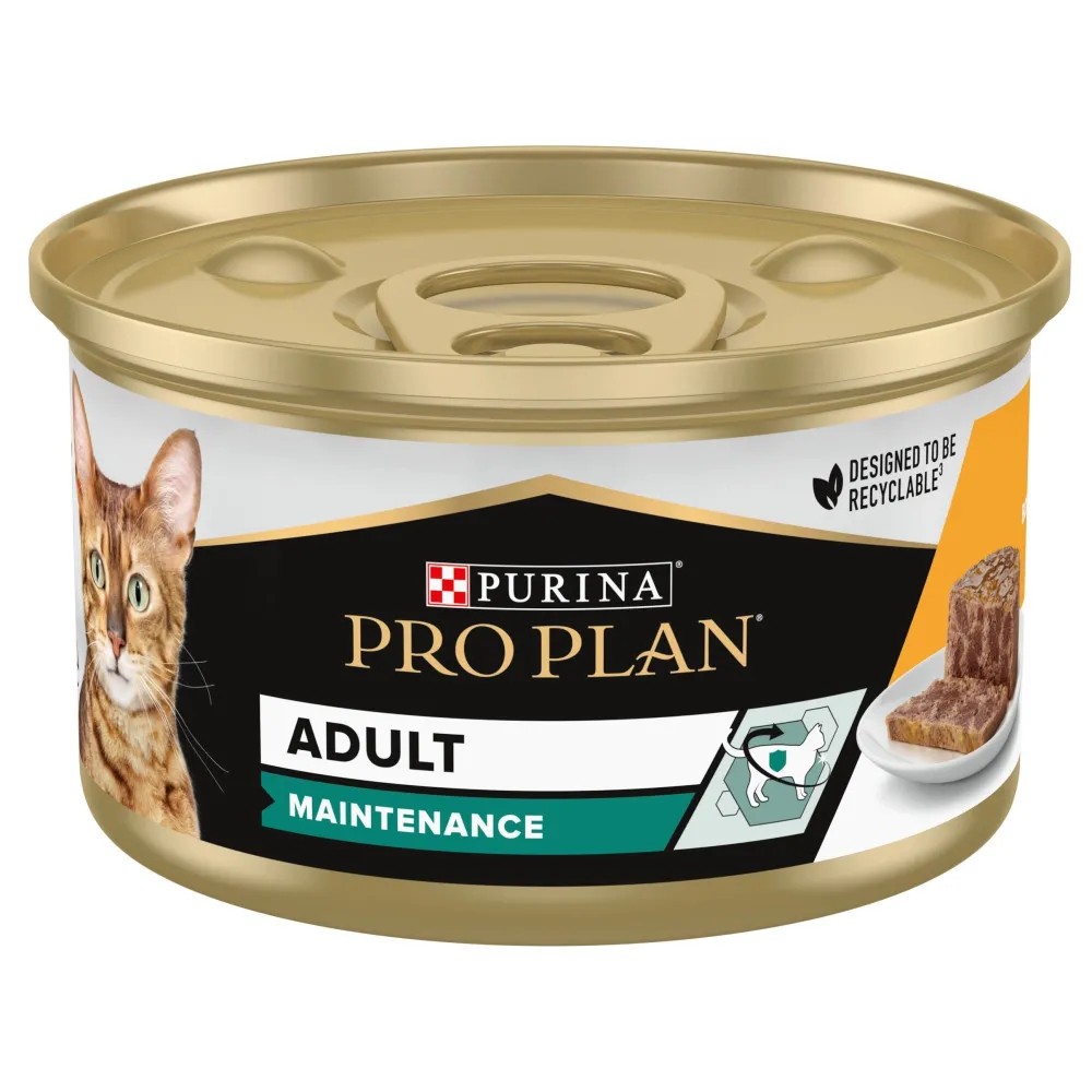 Pro Plan Adult Maintenance Pollo Tarrina Gatos 85 GR