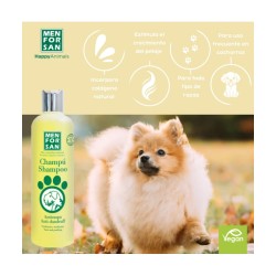 Champú Anticaspa MFS 300ML