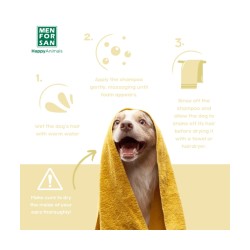 Champú Anticaspa MFS 300ML