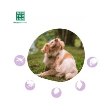 Champú Anti-insectos con margosa, geraniol y lavandino MFS -1L