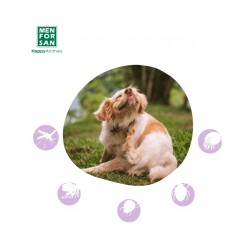 Champú Anti-insectos con margosa, geraniol y lavandino MFS -1L