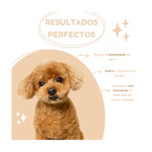 Champú con Aceite de Argán y Proteínas MFS -1L