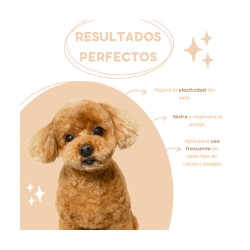 Champú con Aceite de Argán y Proteínas MFS -1L