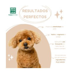 Champú con Aceite de Argán y Proteínas MFS -250ml