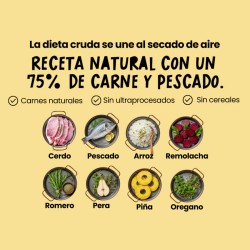 COCOSI Comida fresca natural  sabor pollo