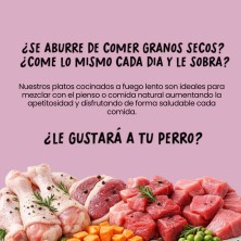 COCOSI Albóndigas en salsa para perro sabor pollo 400GR