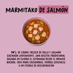 COCOSI Gourmet Natural Food Marmitako de salmón 400GR