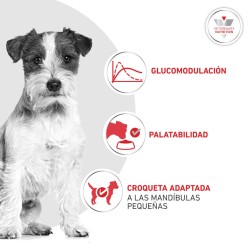 Royal Canin Glycobalance Pienso para perros pequeños