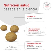 Royal Canin Glycobalance Pienso para perros pequeños
