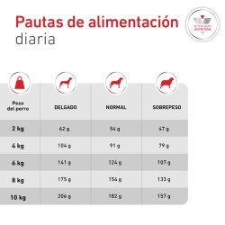 Royal Canin Glycobalance Pienso para perros pequeños