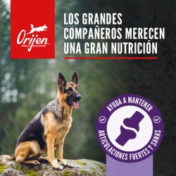Orijen Large Breed Adult Pienso para perros 11,4kg