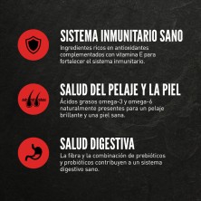 Orijen Large Breed Adult Pienso para perros 11,4kg