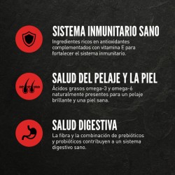 Orijen Large Breed Adult Pienso para perros 11,4kg