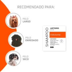 Artero Champú Hidratante