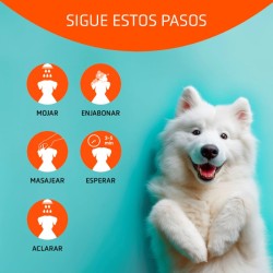 Champu Hidratante Artero 5 L