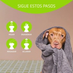 Artero Champú Basic 5l