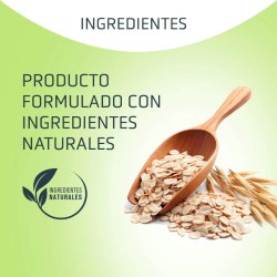 Artero Champú Basic 5l