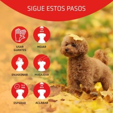 Artero Champu Scarlet (potenciador del color)