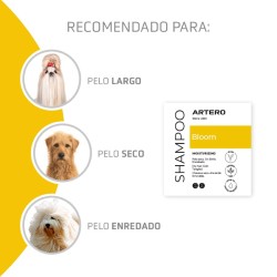 Artero Champu Bloom Argan (pelo seco)