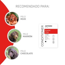 Artero Acondicionador Scarlet Vital