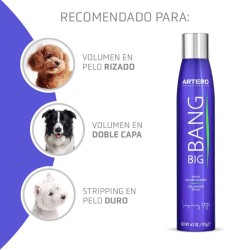 Artero Big Bang Voluminizador 300 ml