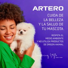 Artero Big Bang Voluminizador 300 ml