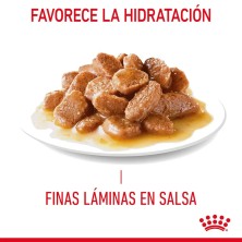 Royal Canin Veterinary Feline Digestive Care en salsa