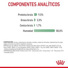 Royal Canin Veterinary Feline Digestive Care en salsa