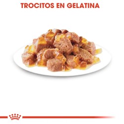 Royal Canin Sterilised en gelatina 12x85 gr