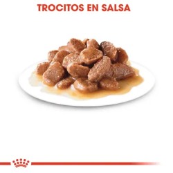 Royal Canin Sterilised en salsa 12x85 gr