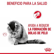 Royal Canin Hairball Care en salsa 12x85gr