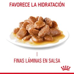Royal Canin Hairball Care en salsa 12x85gr