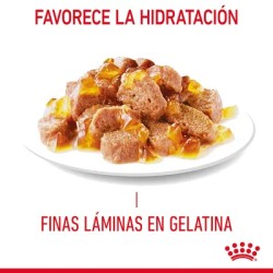 Royal Canin Hair & Skin Care en gelatina 12x85gr
