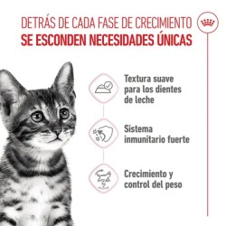 Royal Canin Sterilised Kitten en salsa 12x85gr