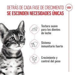 Royal Canin Kitten Sterilised en gelatina 12x85gr