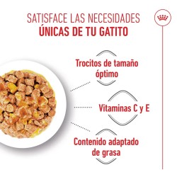Royal Canin Kitten Sterilised en gelatina 12x85gr