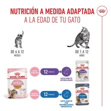 Royal Canin Kitten Sterilised en gelatina 12x85gr