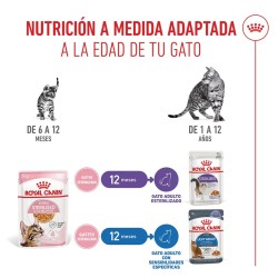 Royal Canin Kitten Sterilised en gelatina 12x85gr