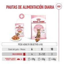 Royal Canin Kitten Sterilised en gelatina 12x85gr